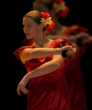 fuego-flamenco