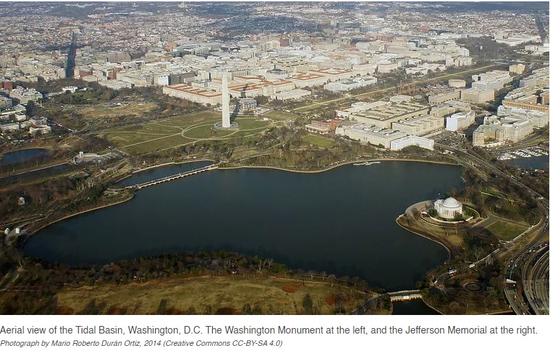 Aerial view of the Tidal Basin