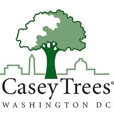caseytrees