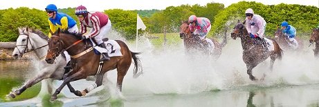 horse-racing